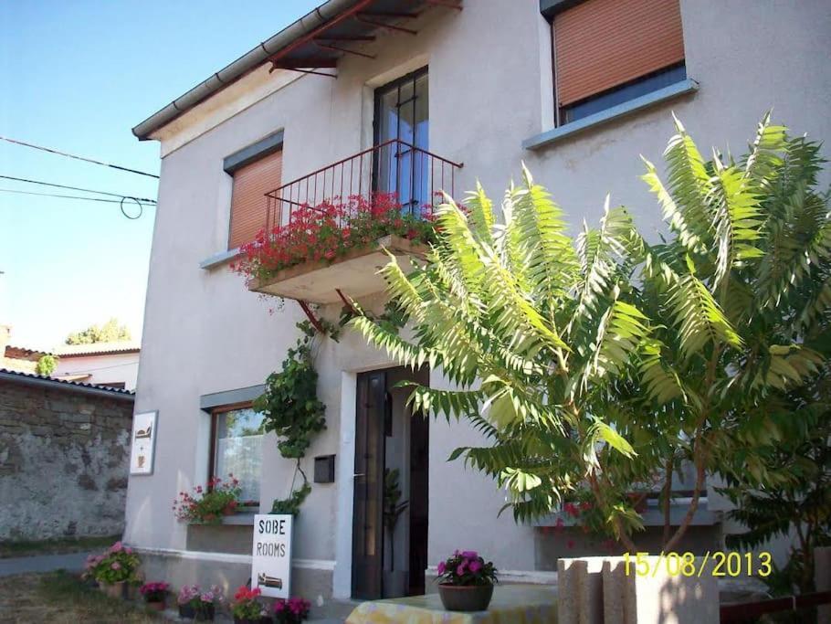 Cozy Rooms In Nature, Perfect For Relax Ilirska Bistrica Exterior foto